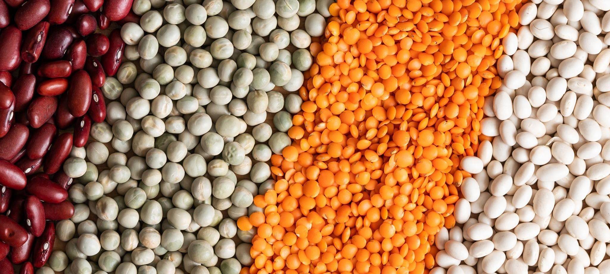 Rote und weiße Bohnen, Erbsen und rote Linsen
