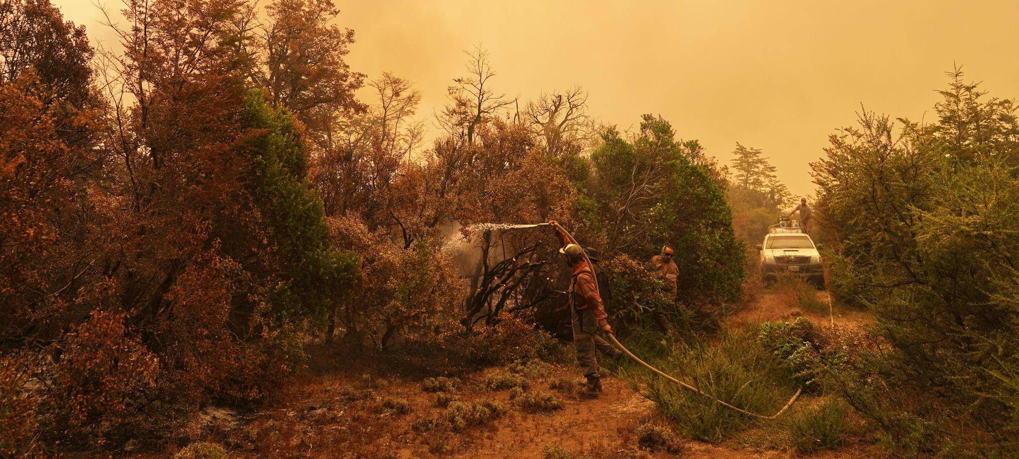 Waldbrände in Argentinien