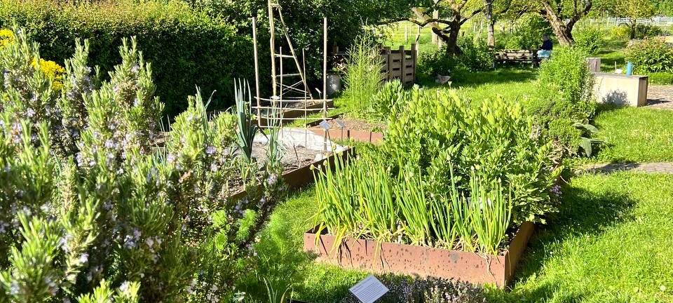 Der Top-Job - NRWs coolster Arbeitsplatz 2026