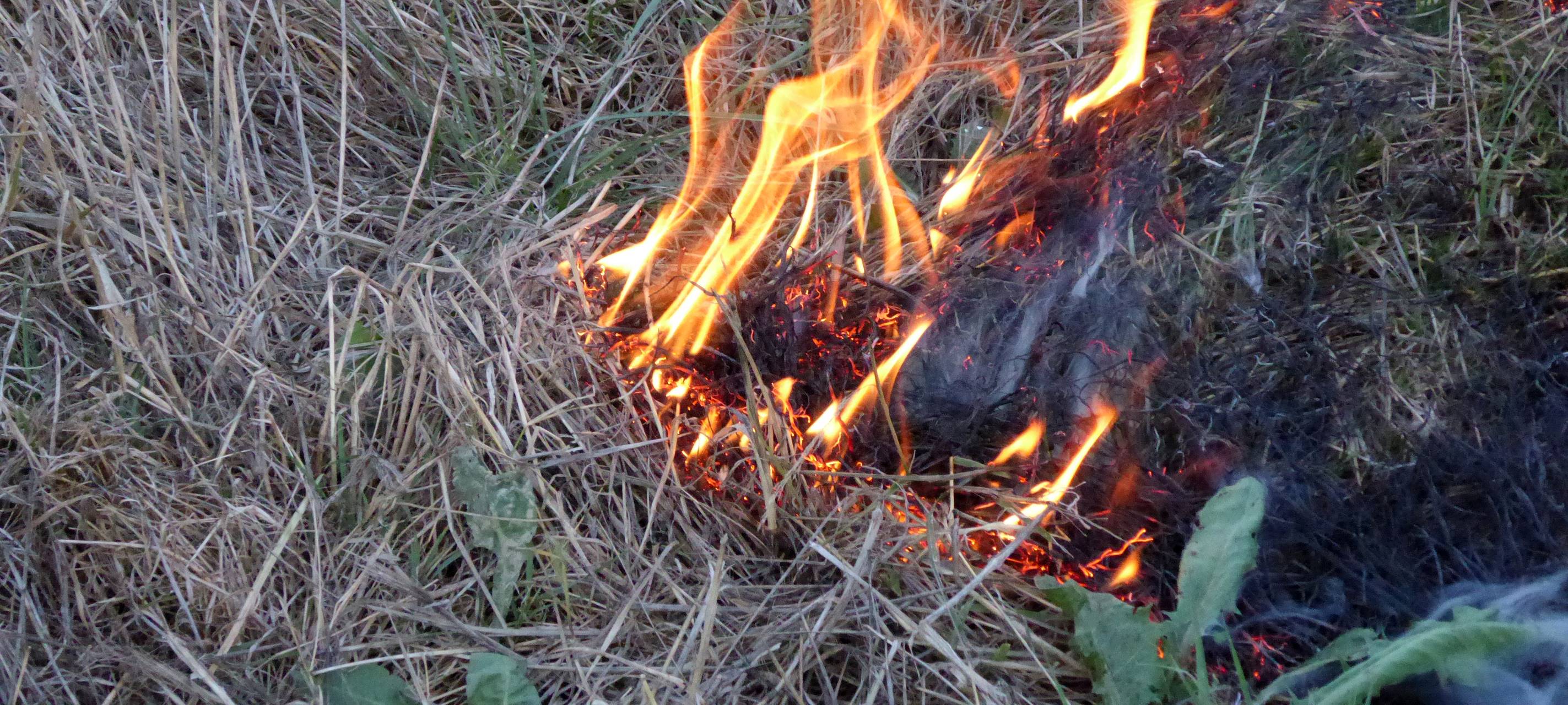 Trockenheit im Kreis Recklinghausen: Feuerwehr im Dauereinsatz