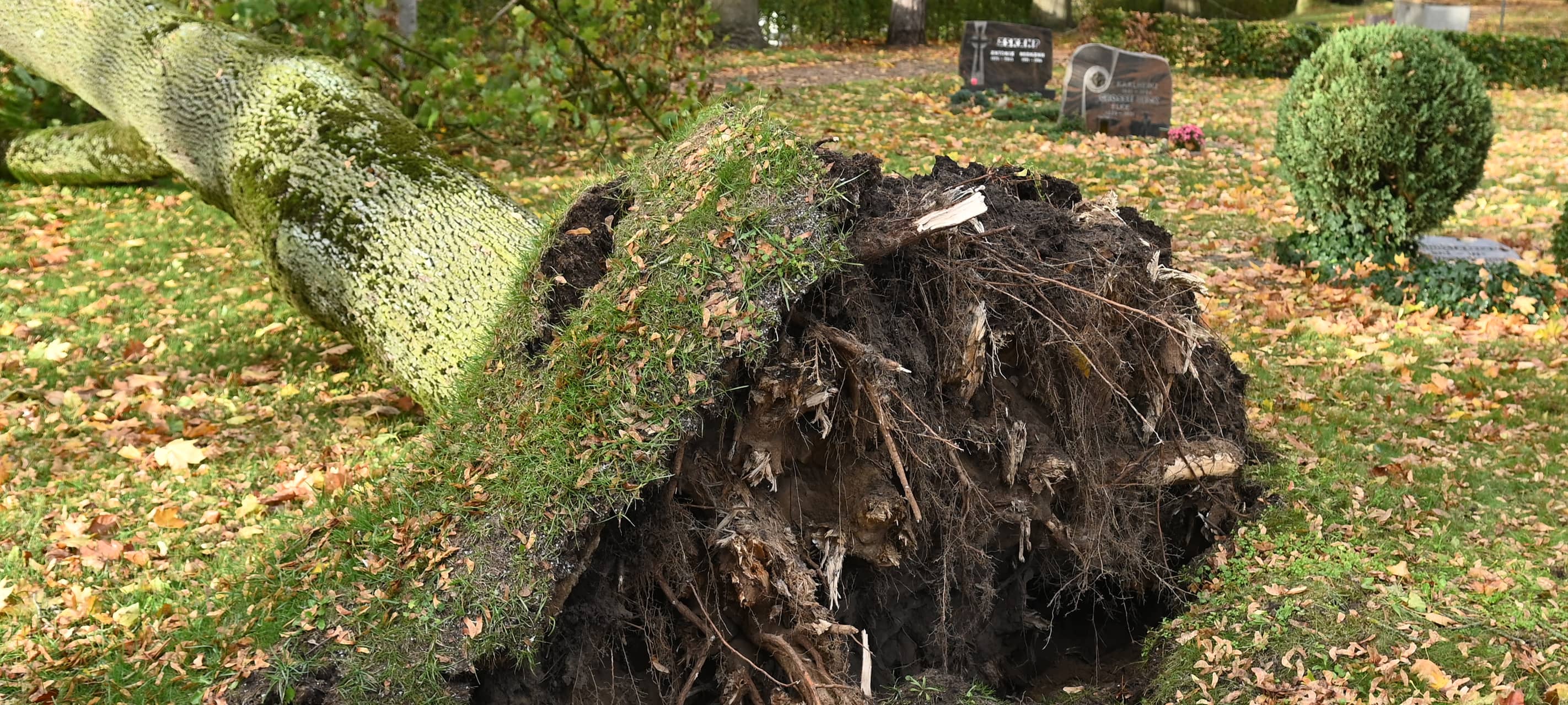 Sturm beschäftigt die Feuerwehr im Kreis Recklinghausen