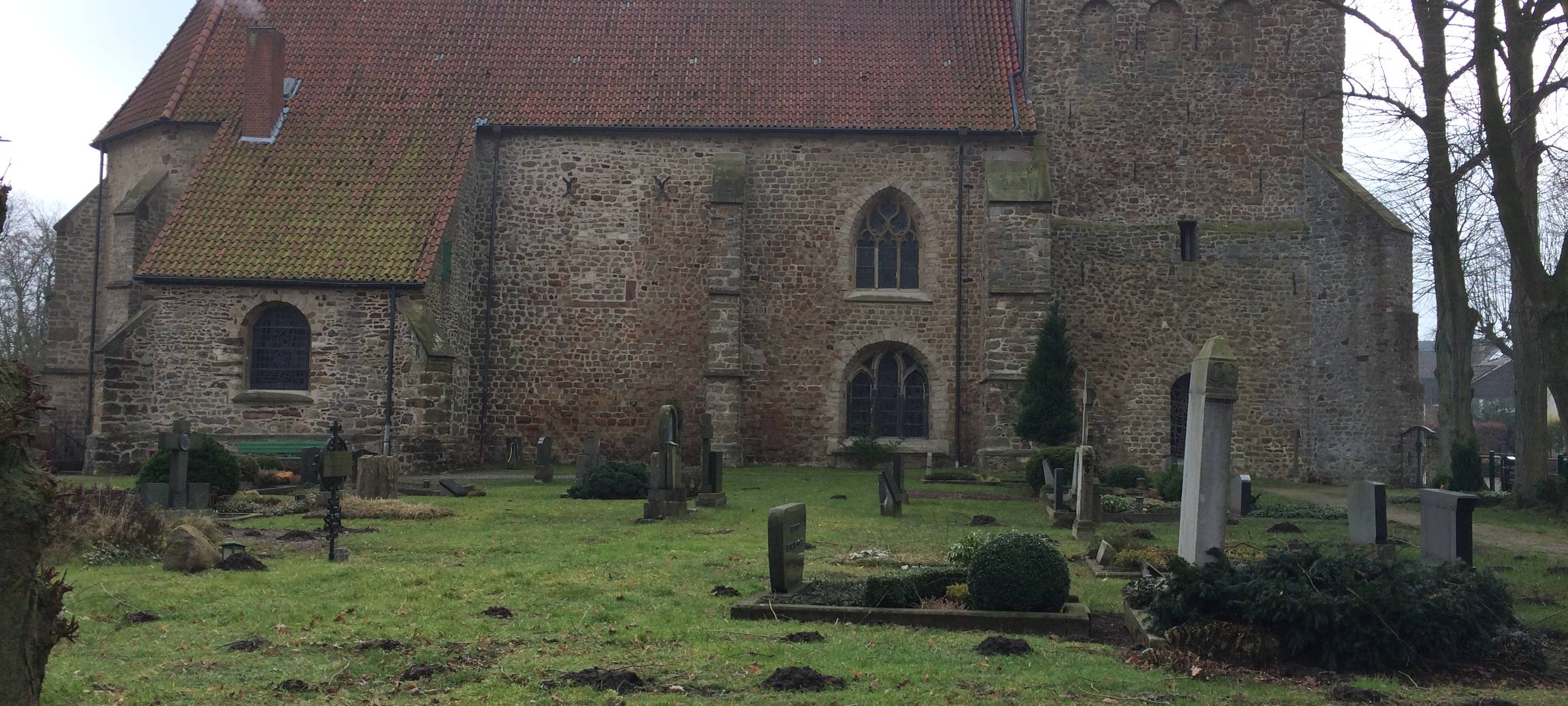 Rettung für 500 Jahre alten Baum