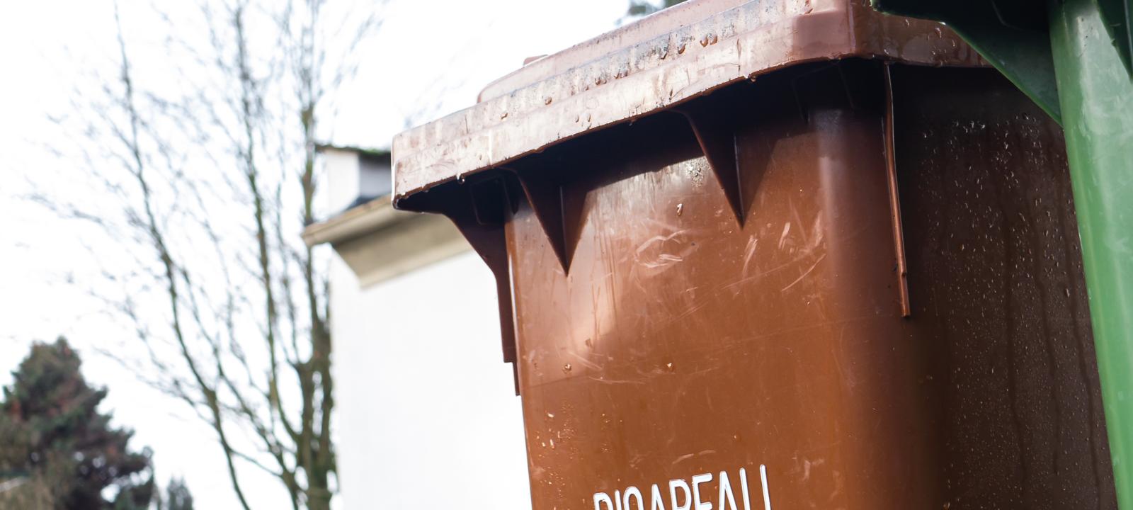 Dorsten zieht Bilanz zu Biotonnen-Kontrollaktion