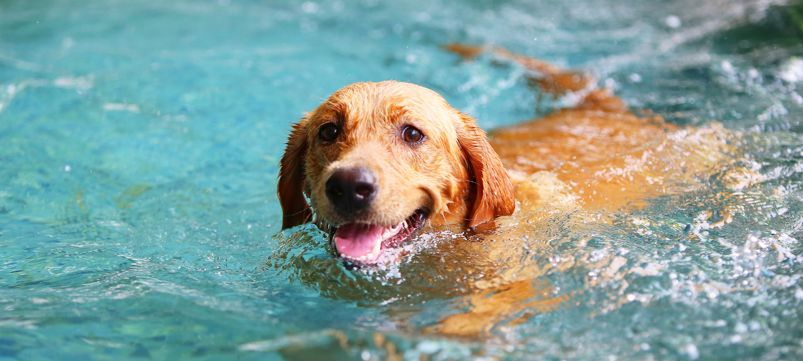 Diese Freibäder im Kreis Recklinghausen sind noch geöffnet