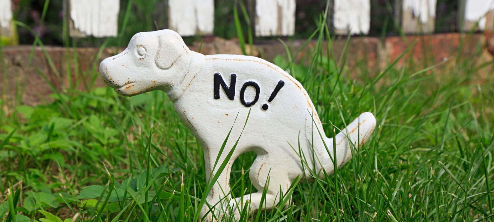 Hundestreife in Dorsten: Ein erfolgreiches Projekt