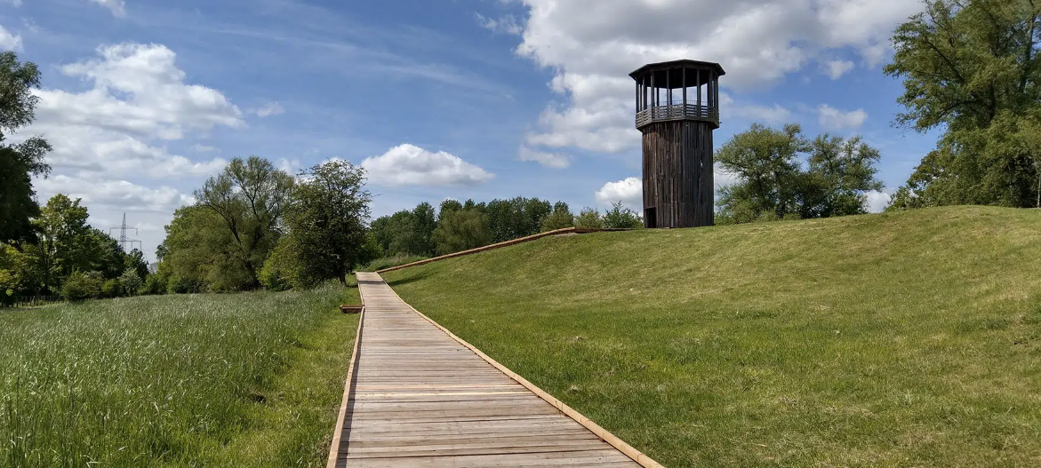 Pilzbefall: Kawamata-Turm in Recklinghausen gesperrt