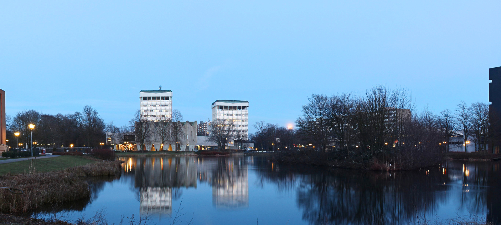 Tote Vögel am City-See: Stadt Marl warnt Hundebesitzer