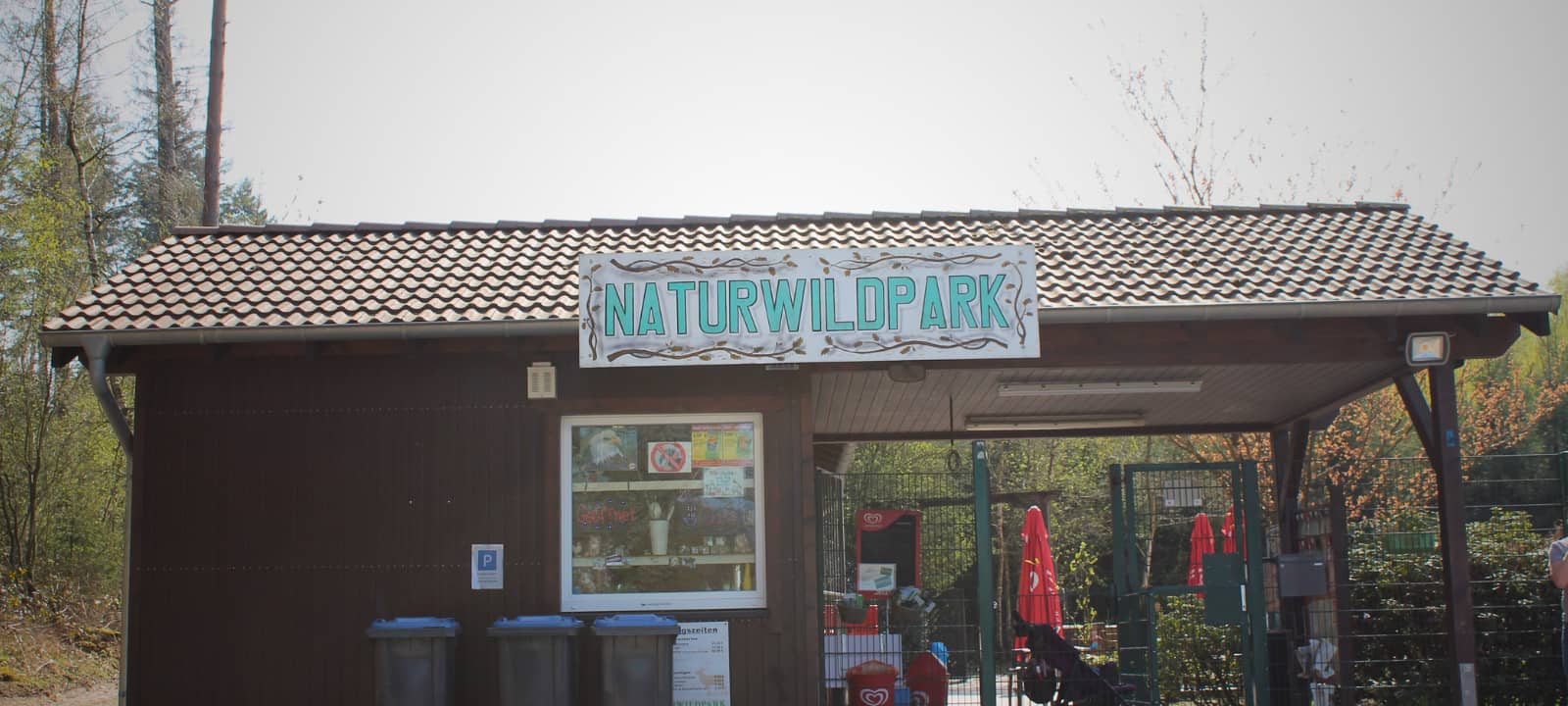 Luchs erschossen: Strafanzeige gegen Halterner Wildpark