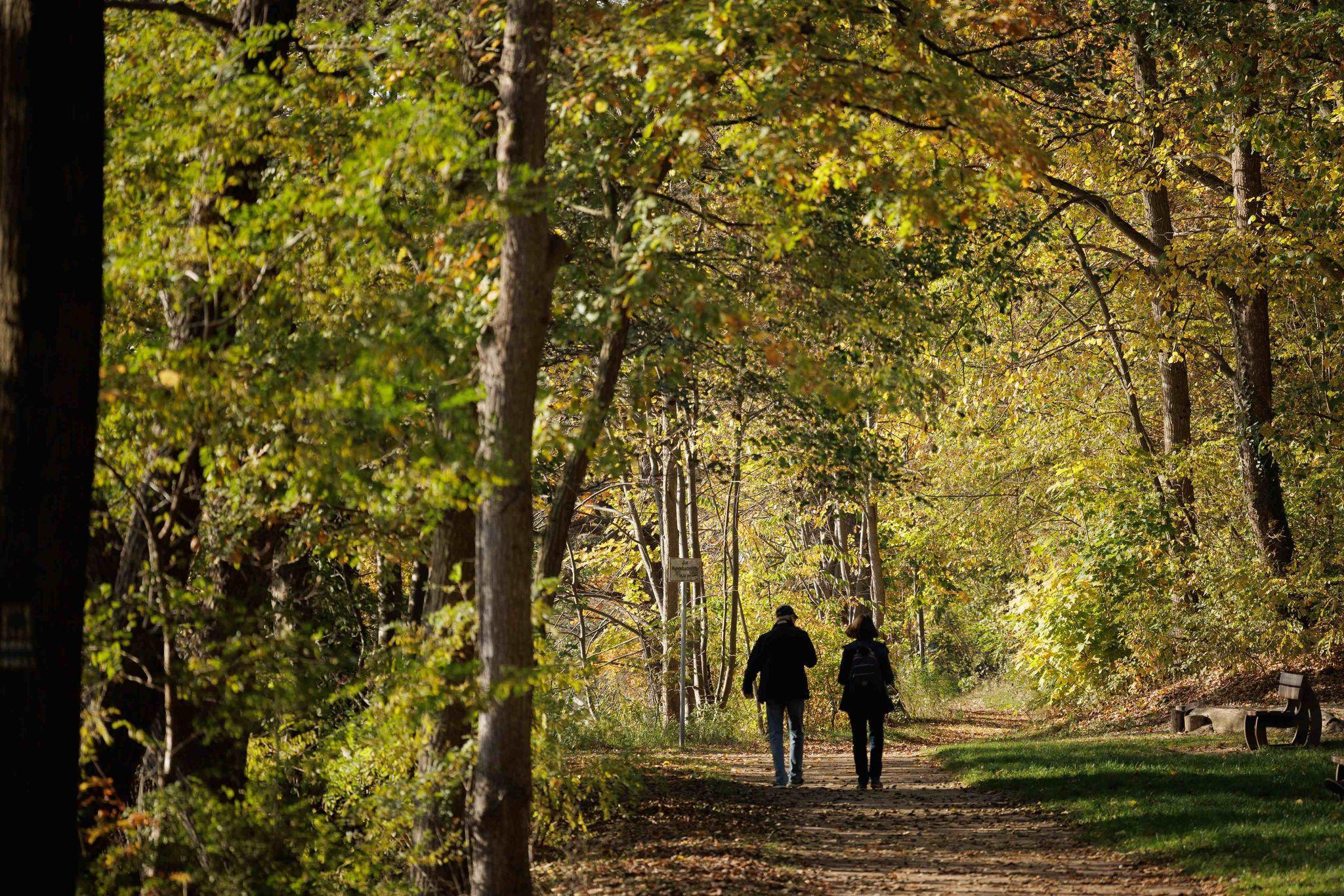Passanten gehen bei strahlender Herbstsonne spazieren