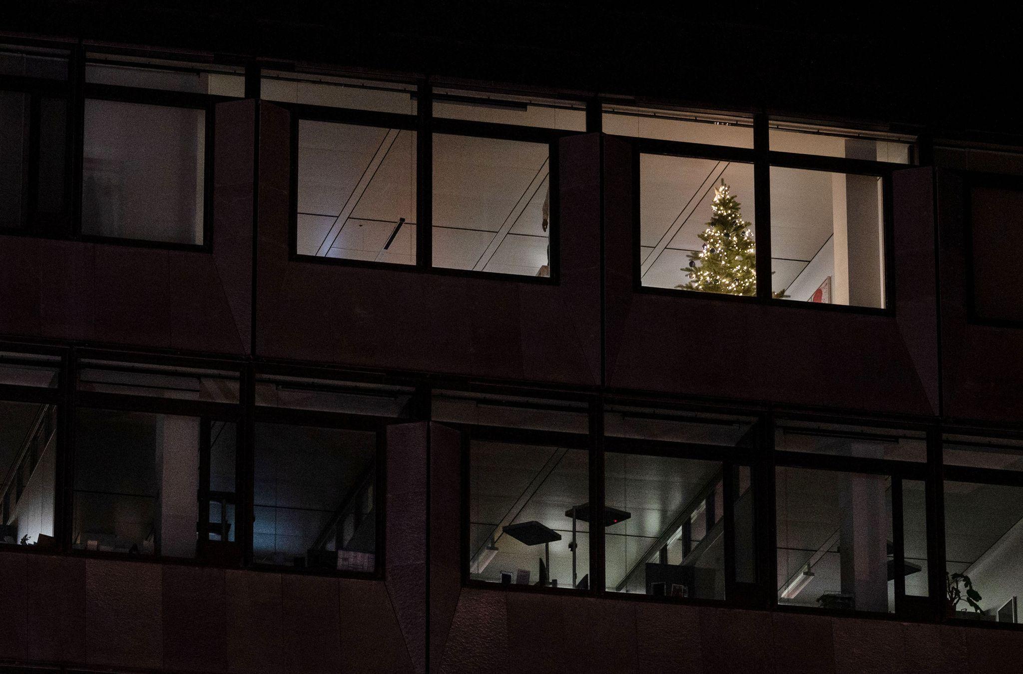 Ein Weihnachtsbaum im Büro